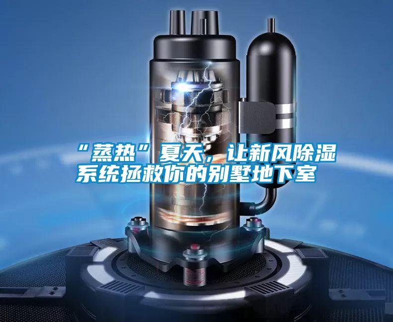 “蒸热”夏天，让新风除湿系统拯救你的别墅地下室