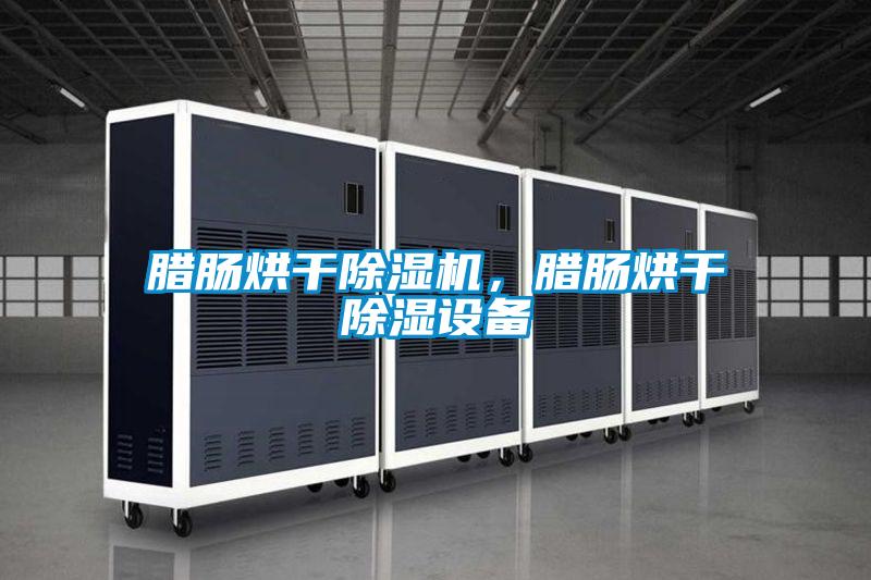 腊肠烘干精品一区二区三区水蜜桃，腊肠烘干除湿设备