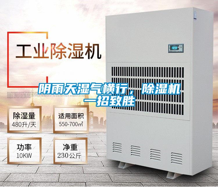 阴雨天湿气横行，精品一区二区三区水蜜桃一招致胜