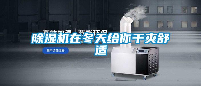 精品一区二区三区水蜜桃在冬天给你干爽舒适