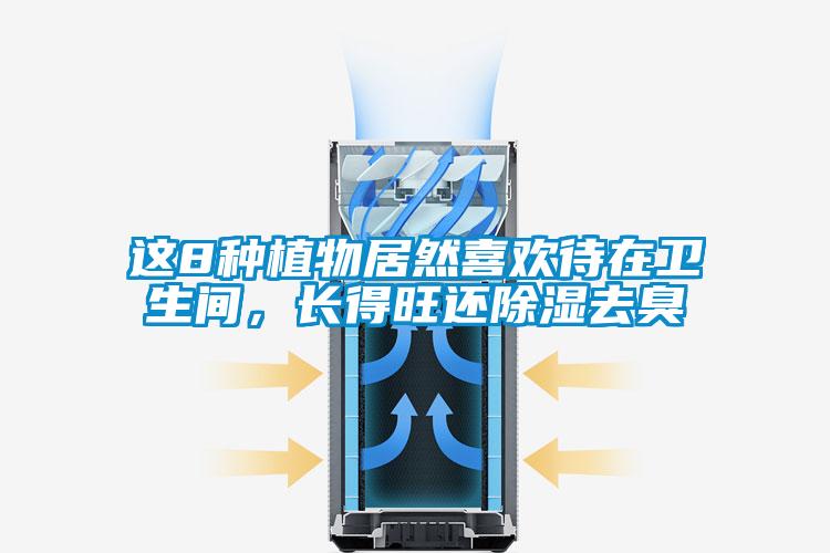 这8种植物居然喜欢待在卫生间，长得旺还除湿去臭