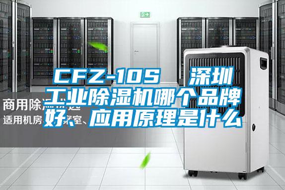CFZ-10S  深圳工业精品一区二区三区水蜜桃哪个品牌好、应用原理是什么