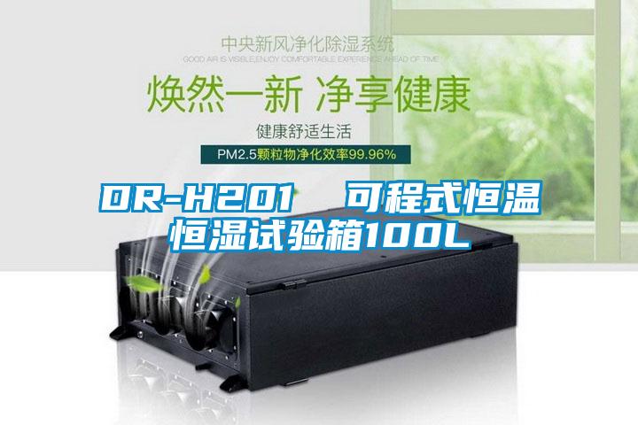 DR-H201 可程式恒温恒湿试验箱100L