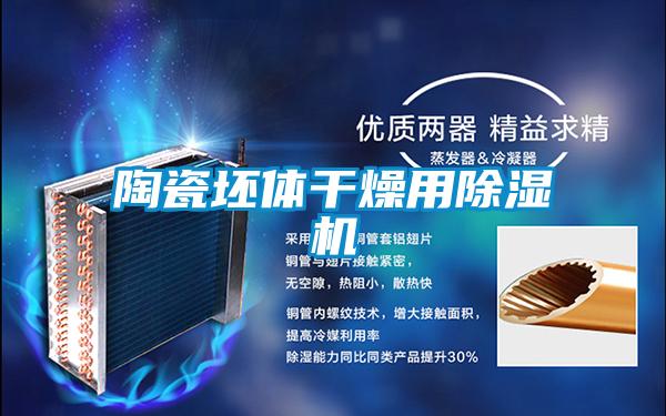 陶瓷坯体干燥用精品一区二区三区水蜜桃