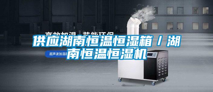 供应湖南恒温恒湿箱/湖南恒温恒湿机