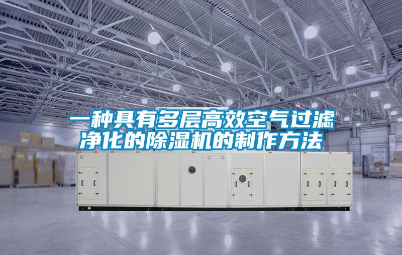 一种具有多层高效空气过滤净化的精品一区二区三区水蜜桃的制作方法