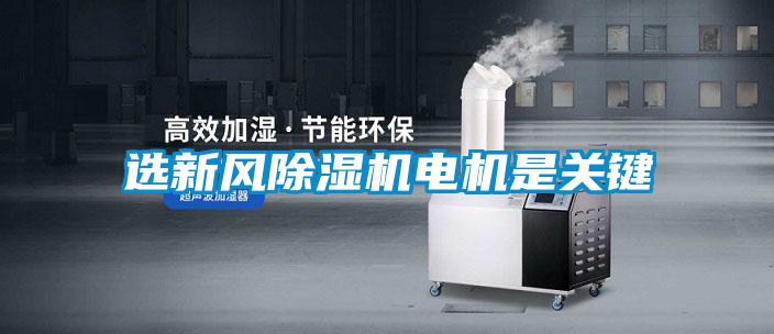 选新风精品一区二区三区水蜜桃电机是关键