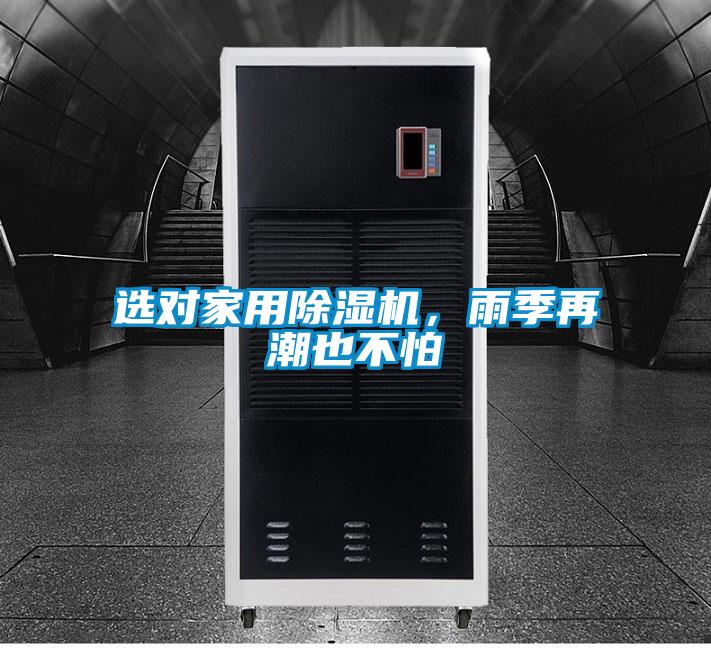 选对家用精品一区二区三区水蜜桃，雨季再潮也不怕