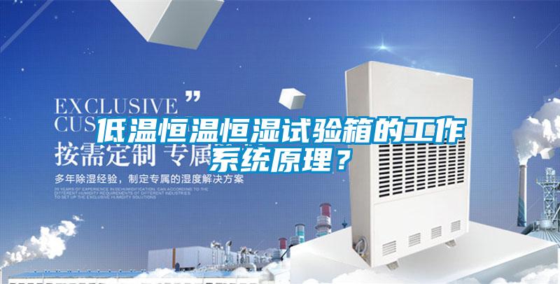 低温恒温恒湿试验箱的工作系统原理？