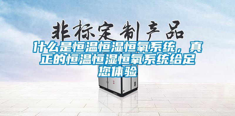 什么是恒温恒湿恒氧系统，真正的恒温恒湿恒氧系统给足您体验