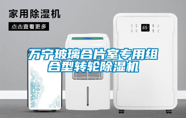 万宁玻璃合片室专用组合型转轮精品一区二区三区水蜜桃