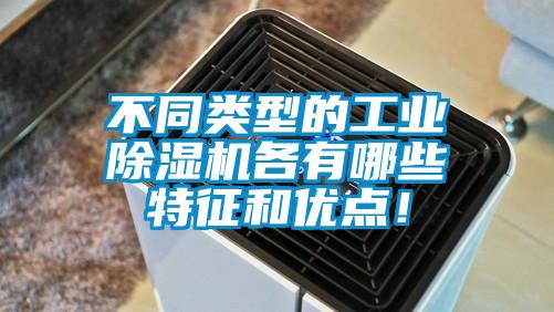 不同类型的工业精品一区二区三区水蜜桃各有哪些特征和优点！