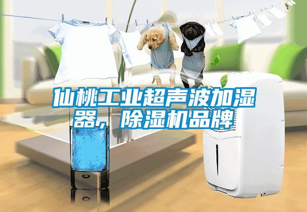 仙桃工业超声波加湿器，精品一区二区三区水蜜桃品牌