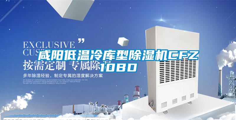 咸阳低温冷库型精品一区二区三区水蜜桃CFZ10BD