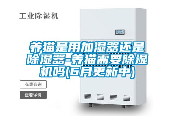 养猫是用加湿器还是除湿器-养猫需要精品一区二区三区水蜜桃吗(6月更新中)