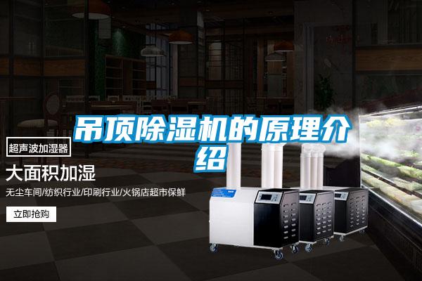 吊顶精品一区二区三区水蜜桃的原理介绍