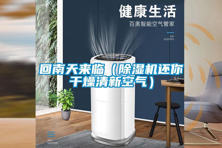 回南天来临(精品一区二区三区水蜜桃还你干燥清新空气)