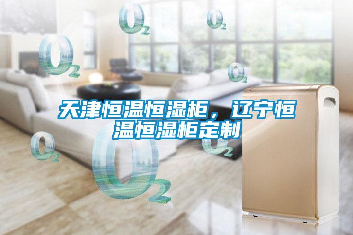 天津恒温恒湿柜，辽宁恒温恒湿柜定制