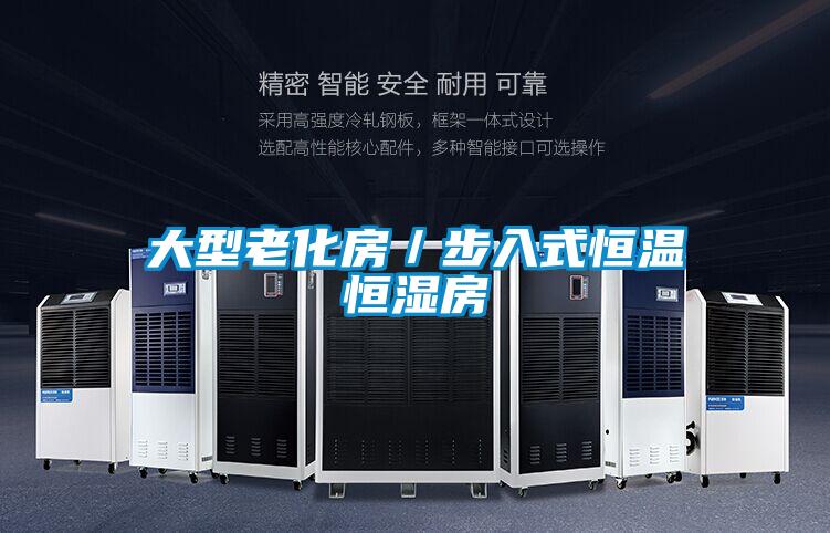 大型老化房/步入式恒温恒湿房