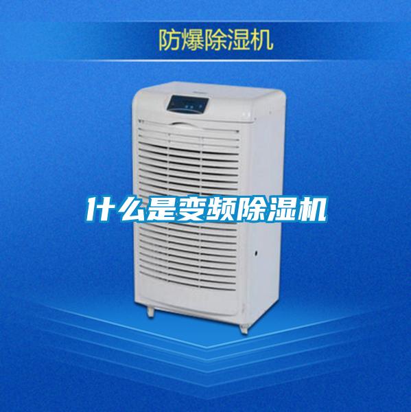 什么是变频精品一区二区三区水蜜桃