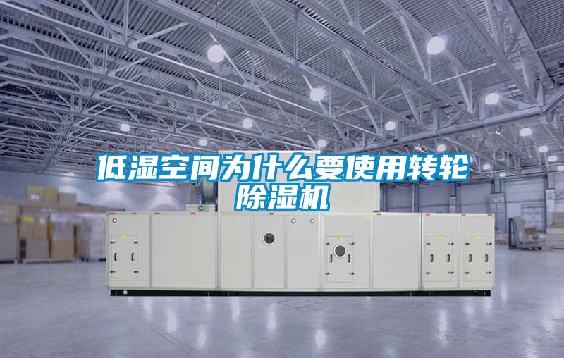 低湿空间为什么要使用转轮精品一区二区三区水蜜桃