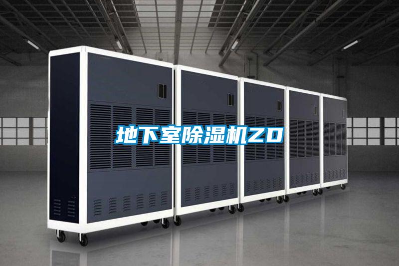 地下室精品一区二区三区水蜜桃ZD