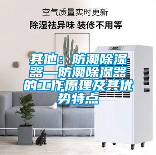 其他：防潮除湿器—防潮除湿器的工作原理及其优势特点