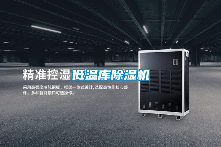 低温库精品一区二区三区水蜜桃