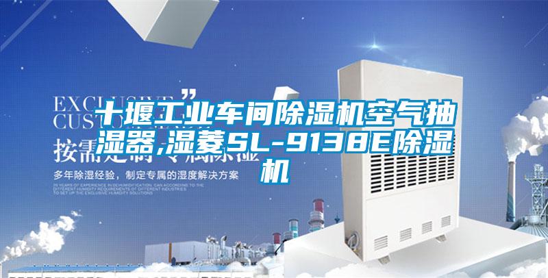 十堰工业车间精品一区二区三区水蜜桃空气抽湿器,湿菱SL-9138E精品一区二区三区水蜜桃