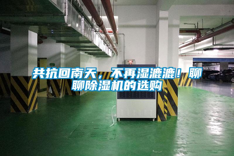 共抗回南天，不再湿漉漉！聊聊精品一区二区三区水蜜桃的选购