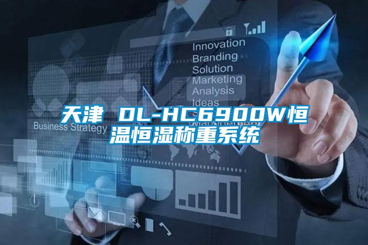 天津 DL-HC6900W恒温恒湿称重系统