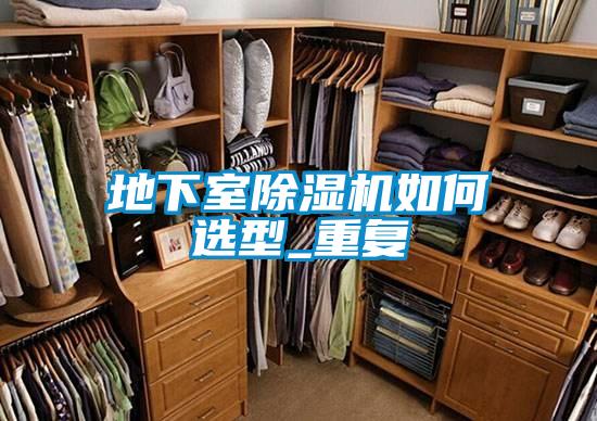 地下室精品一区二区三区水蜜桃如何选型_重复