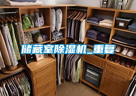 储藏室精品一区二区三区水蜜桃_重复