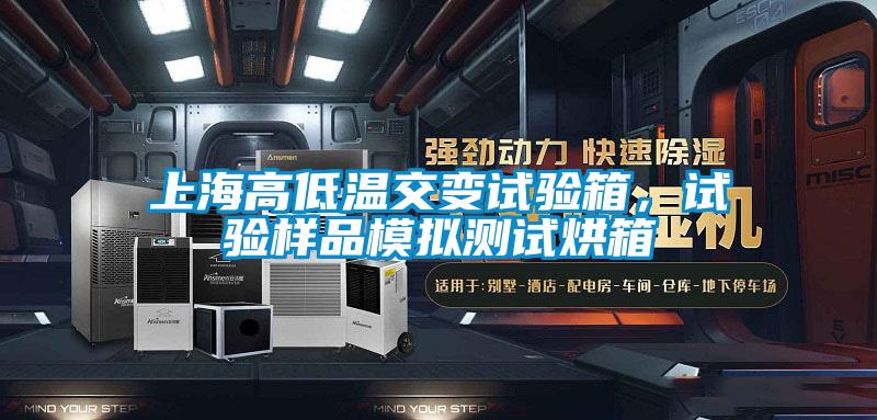 上海高低温交变试验箱，试验样品模拟测试烘箱