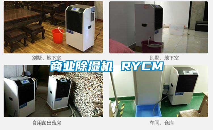 商业精品一区二区三区水蜜桃 RYCM