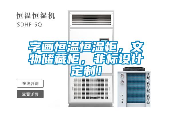 字画恒温恒湿柜，文物储藏柜，非标设计定制！