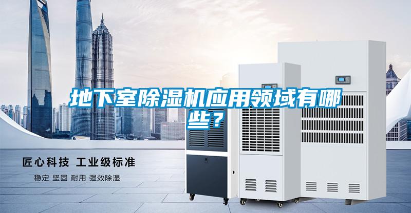 地下室精品一区二区三区水蜜桃应用领域有哪些？