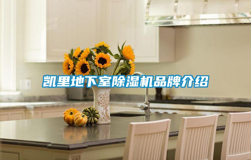 凯里地下室精品一区二区三区水蜜桃品牌介绍