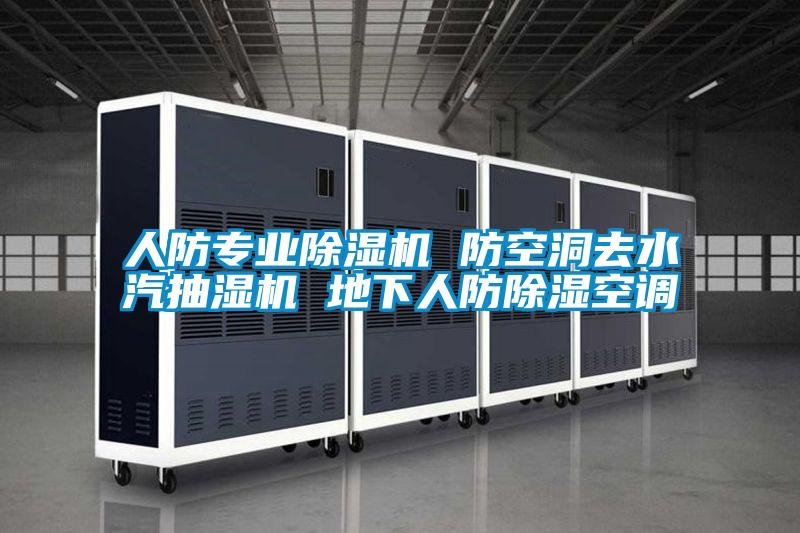 人防专业精品一区二区三区水蜜桃 防空洞去水汽抽湿机 地下人防除湿空调