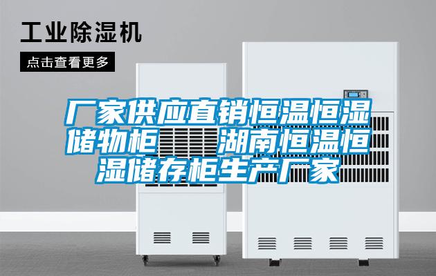 厂家供应直销恒温恒湿储物柜 湖南恒温恒湿储存柜生产厂家