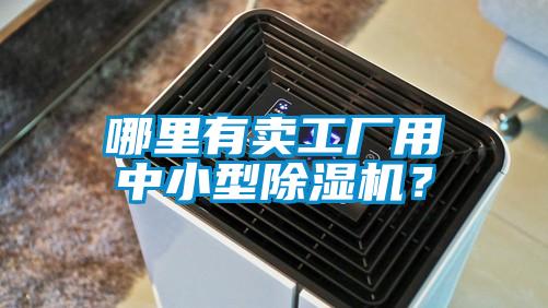 哪里有卖工厂用中小型精品一区二区三区水蜜桃？