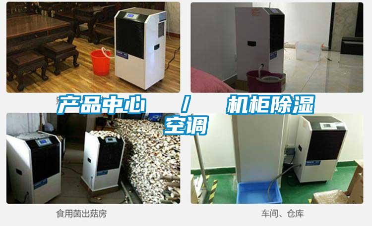 产品中心 / 机柜除湿空调