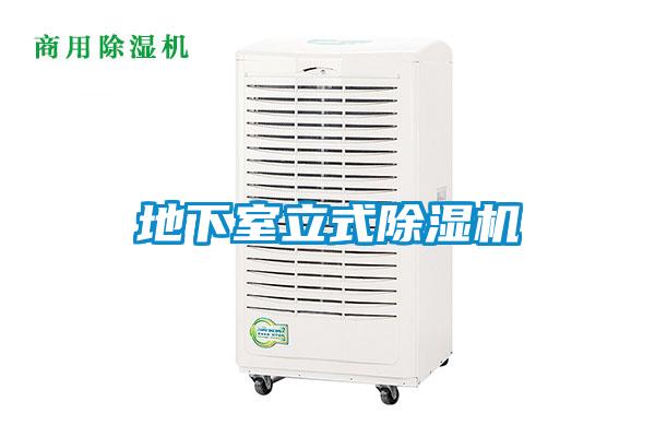 地下室立式精品一区二区三区水蜜桃