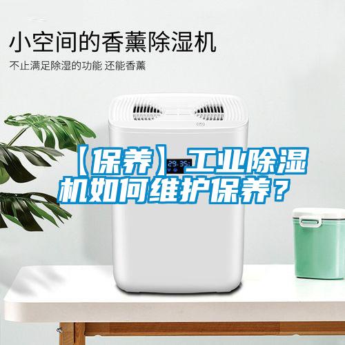 【保养】工业精品一区二区三区水蜜桃如何维护保养？