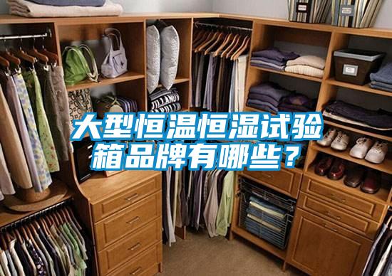 大型恒温恒湿试验箱品牌有哪些？