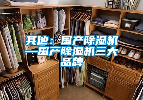 其他：国产精品一区二区三区水蜜桃—国产精品一区二区三区水蜜桃三大品牌