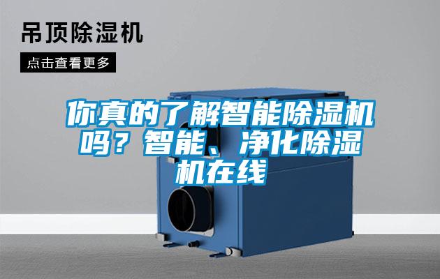 你真的了解智能精品一区二区三区水蜜桃吗？智能、净化精品一区二区三区水蜜桃在线