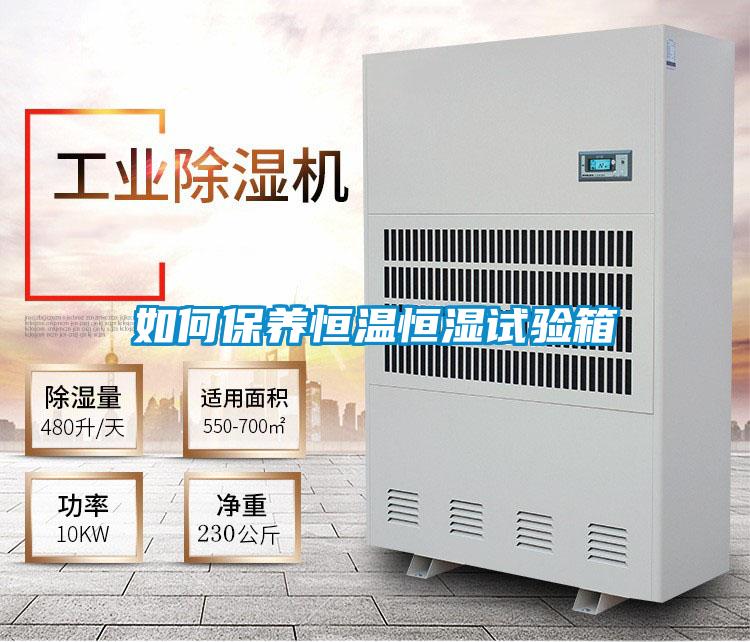 如何保养恒温恒湿试验箱