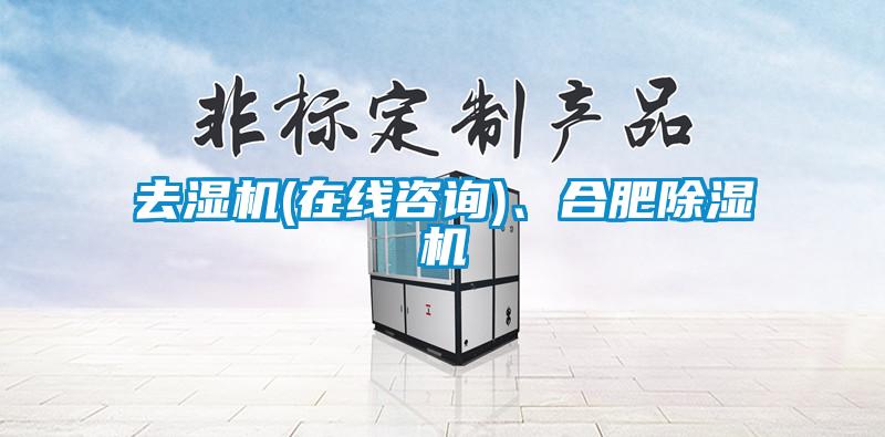 去湿机(在线咨询)、合肥精品一区二区三区水蜜桃