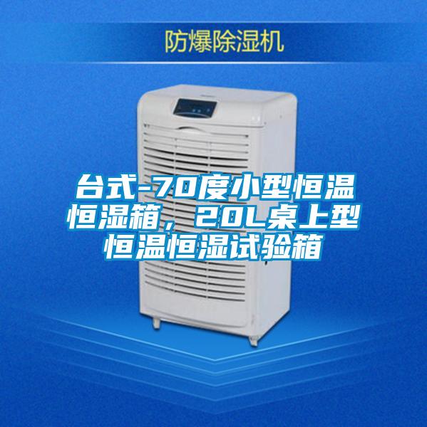 台式-70度小型恒温恒湿箱，20L桌上型恒温恒湿试验箱